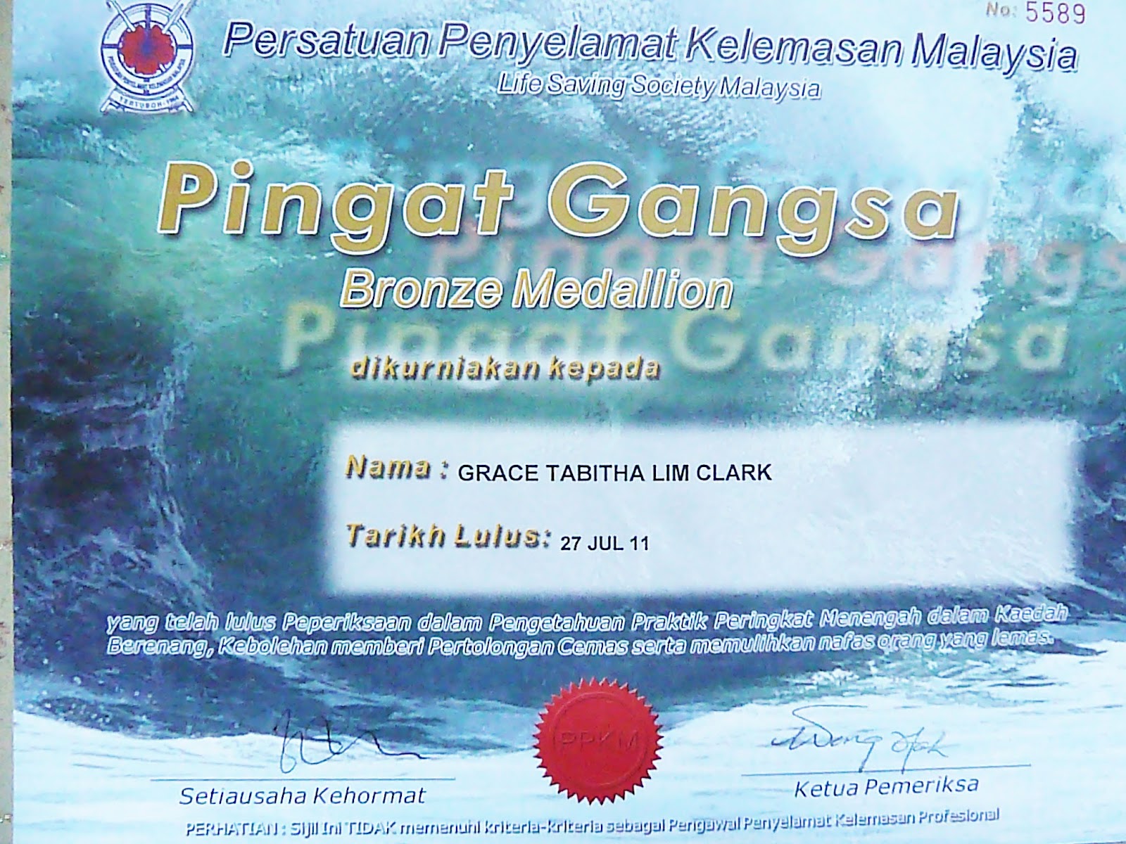 Bronze Cross Lifesaving