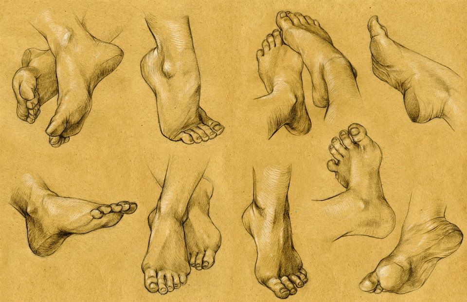 Feet Studies