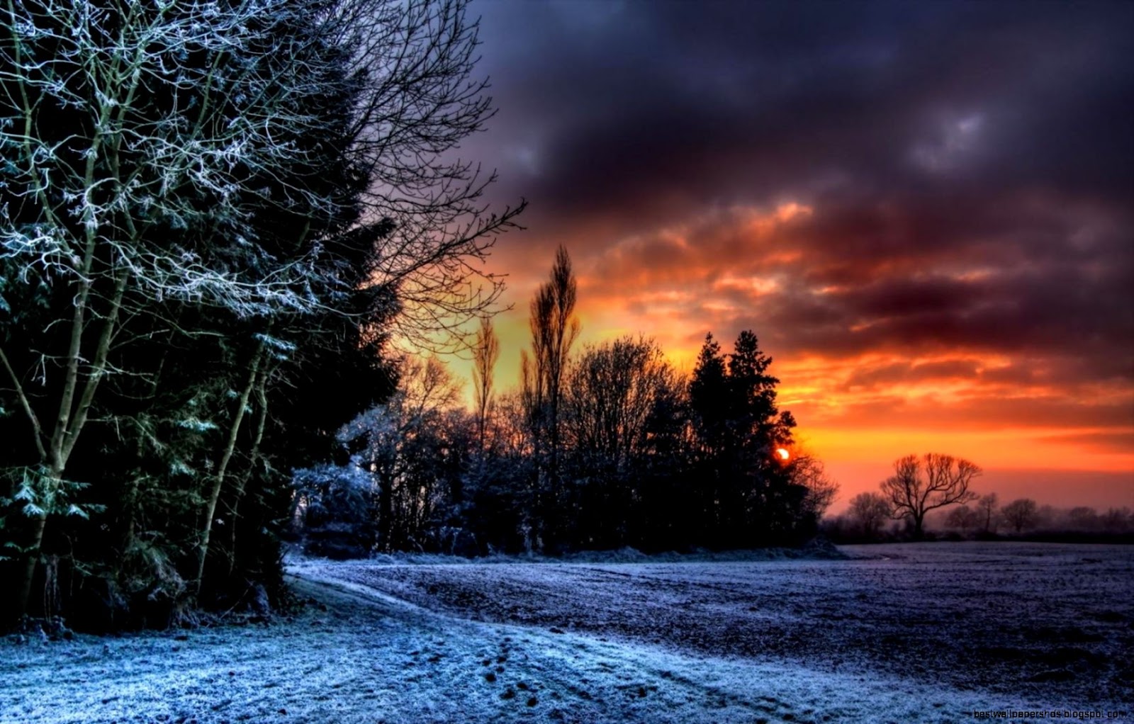 Orange Sunset Orange Sunset