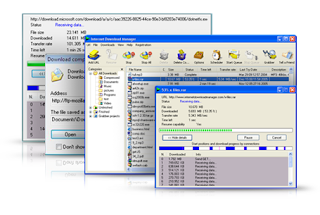 Internet Download Manager 6.12 Beta 2 Full + Patch