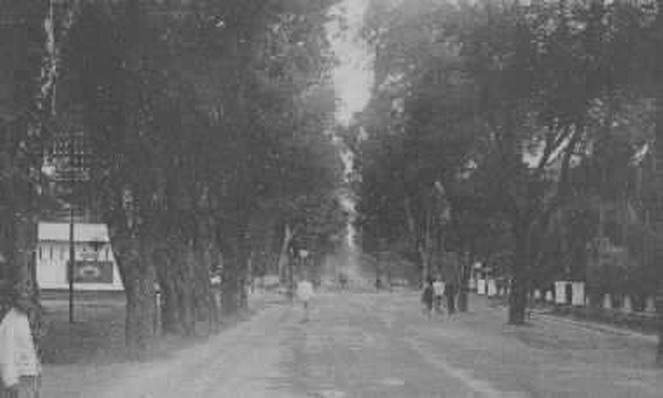 Sastro Blog 11 11 06 11 11 13