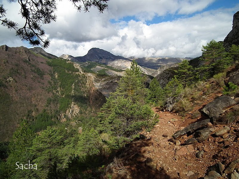 Chemin de l'Esclangon