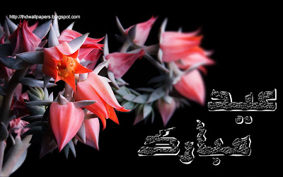 Red Lotus Rose Flowers Eid-ul-Adha Zuha Mubarak Cards 2012 Urdu Text 1