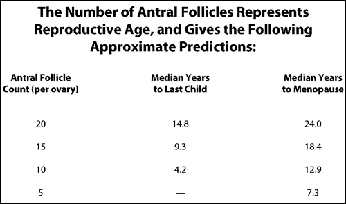 Antral Follicle Count Chart