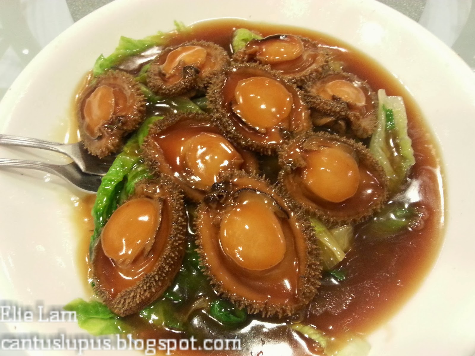 Hong Kong Eats Mak's Noodle House, Australia Dairy Company and Lei Yue