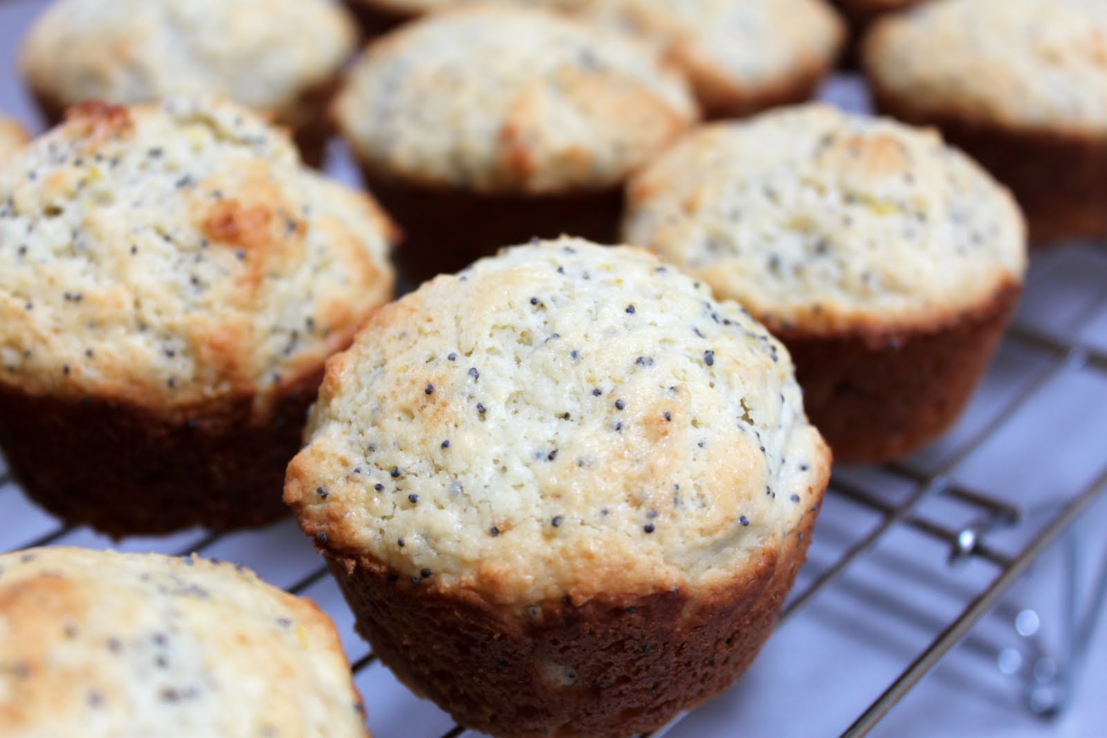 my nutritious dish lemon poppy seed muffins