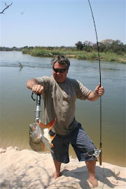 Wild Okavango River Tiger