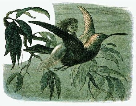 Little Moonlight Rider