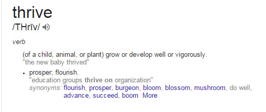 to thrive meaning to continue to thrive meaning to continue