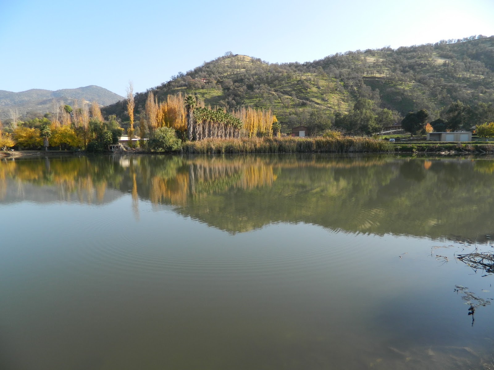 California Dreamin' Costaic Lakes, Springville, CA.