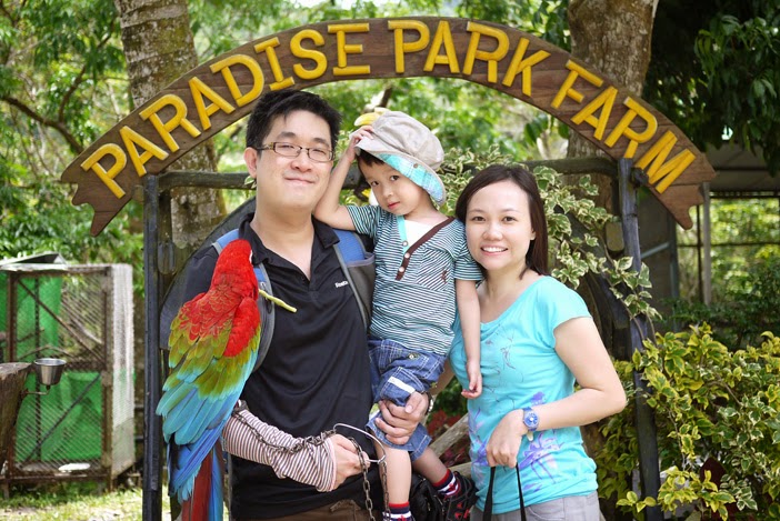 Paradise Park Farm with / without lunch (Daily Trip)