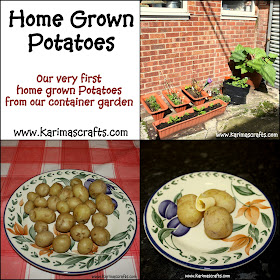 home grown potatoes