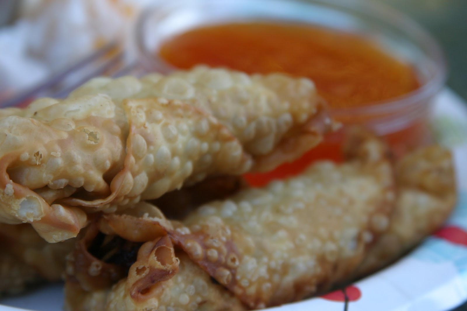 The Joy's of Kitchen Creations Egg Rolls and Sweet and Sour Sauce