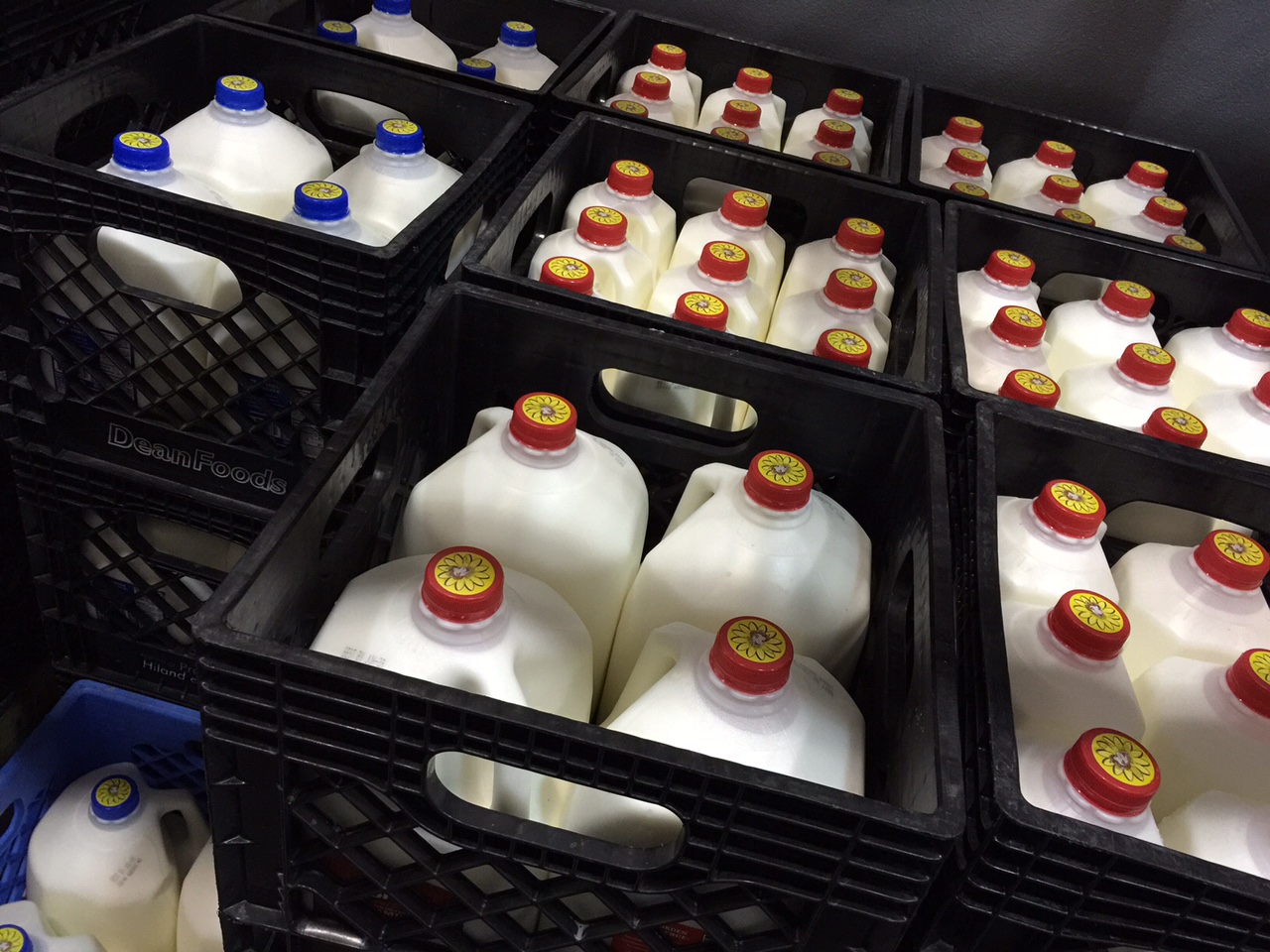 What's in the Warehouse??