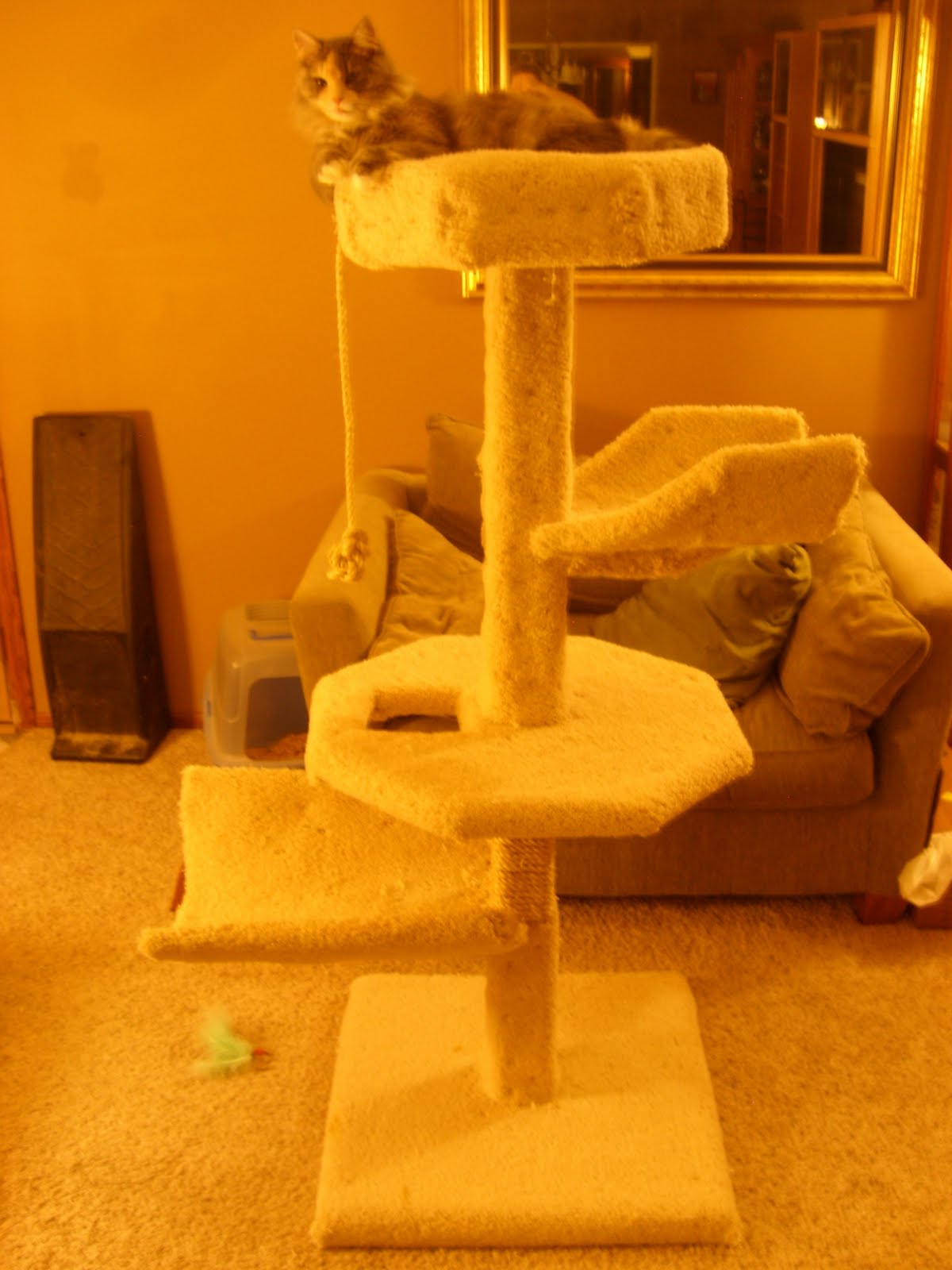 How to Make a Large Cat Tree / Condo / House for 50