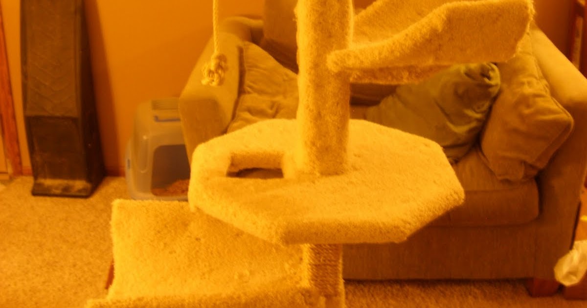 How to Make a Large Cat Tree / Condo / House for 50 How to Make your