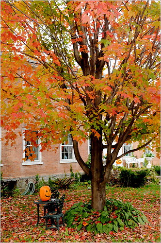 [Image: mua%2Bthu%2Bnuoc%2BMy%2B2.JPG]