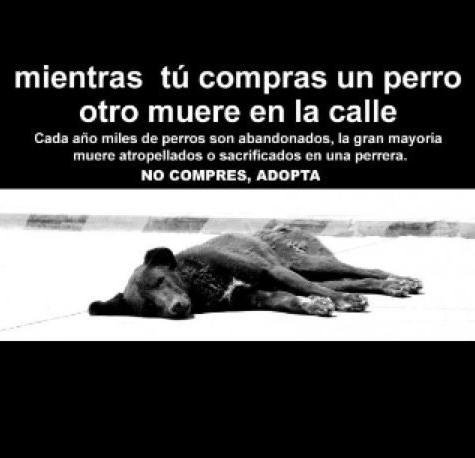 Adopta No Compres