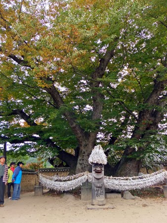 Sacred tree of 600 years old is in the center of the village.
