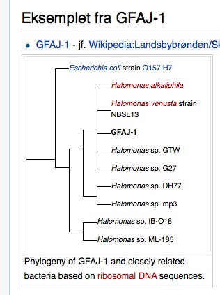 RRResearch Growth properties of GFAJ1's relatives?