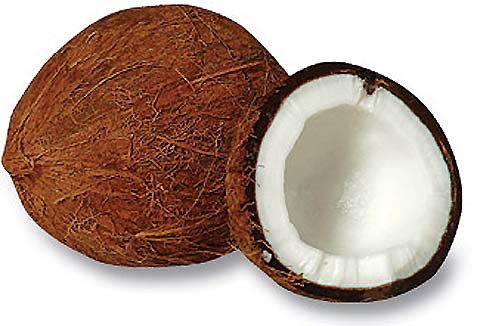 coconut-carbon-capture.jpg