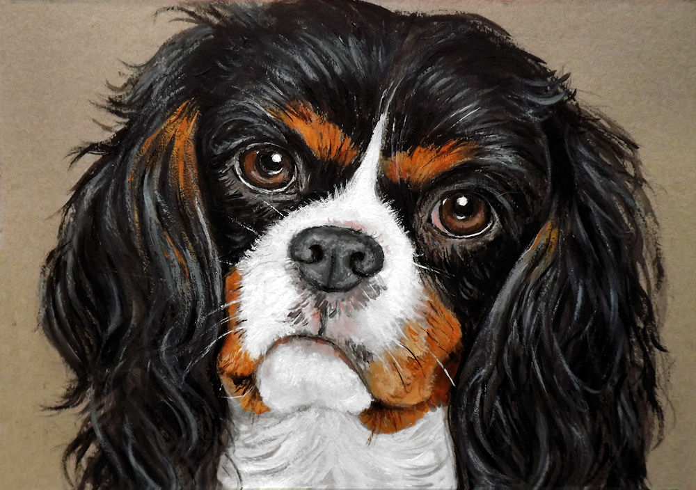 Ornella Di Scala pittrice ritrattista ritratto cane cavalier king