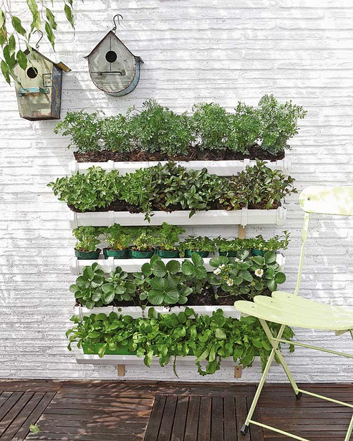 jardim vertical simples:Arquitetura à mão!: Jardim Vertical: Parte dois jardim vertical simples:Arquitetura à mão!: Jardim Vertical: Parte dois