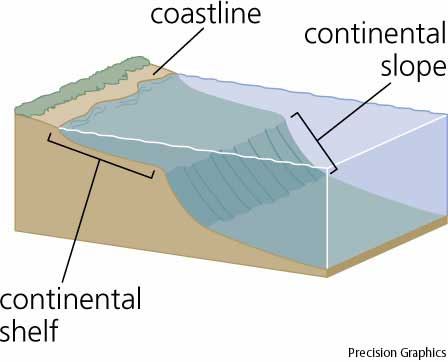 Menurut kedalamannya continental slope termasuk zona laut
