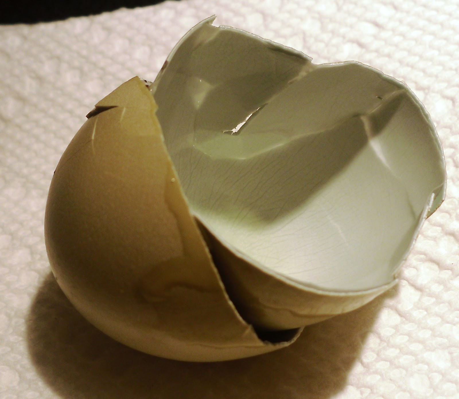 Clever Soiree 'Easter' Color Natural Eggs