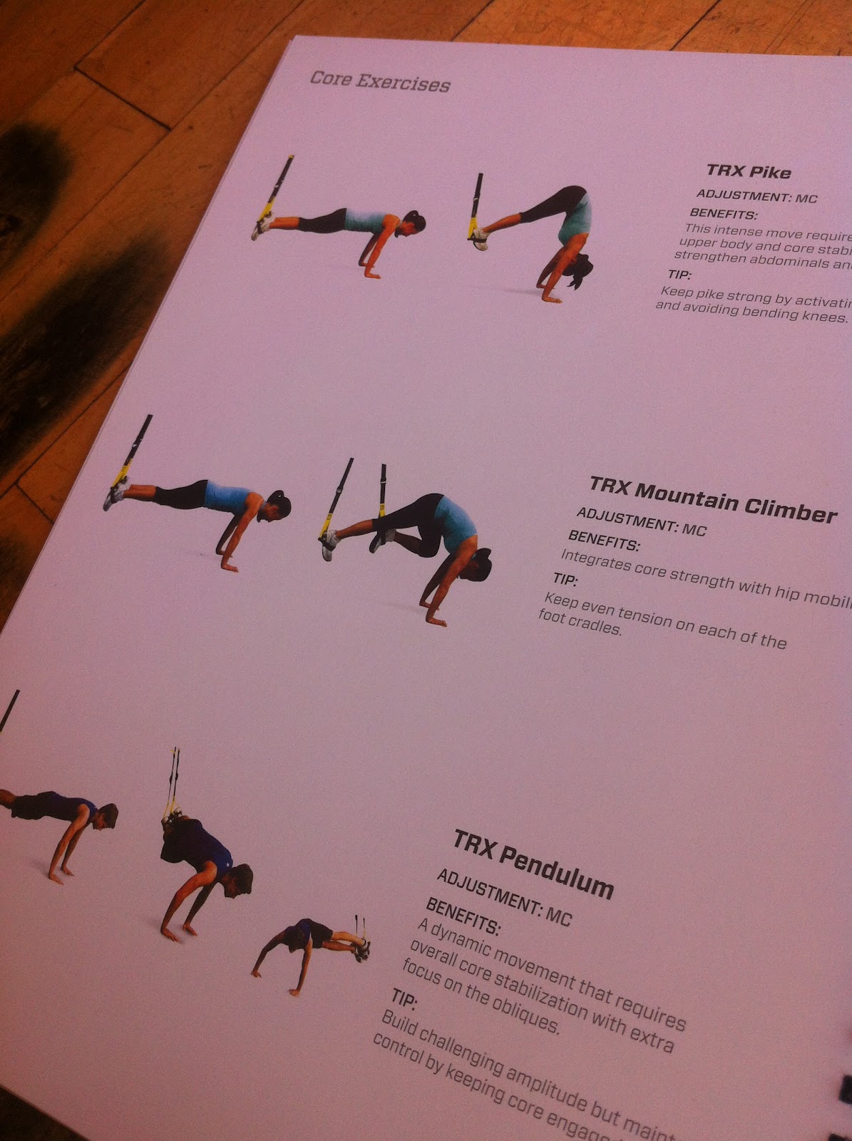 ALL ABOUT THE TRX! 1FitFoodie