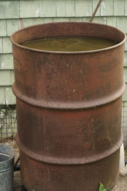 Tea Barrel