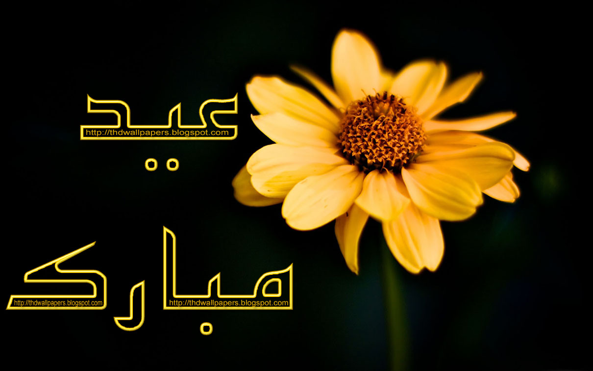 eid ul adha urdu essay Eid ul-fitr is a muslim holiday celebrated when ramadan is finished when the new moon is seen after month of ramadan, the next day is eid ul-fitr after the eid prayer, the muslim greet each other eid ul-fitr lasts three days during this festival, children accept gifts and eidiya in form of money from adults. eid ul adha urdu essay Eid ul-fitr is a muslim holiday celebrated when ramadan is finished when the new moon is seen after month of ramadan, the next day is eid ul-fitr after the eid prayer, the muslim greet each other eid ul-fitr lasts three days during this festival, children accept gifts and eidiya in form of money from adults.
