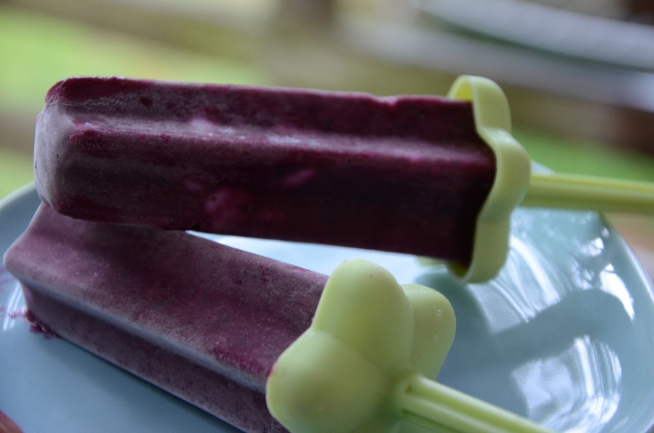 Recipe Shoebox Blueberry and Yogurt Popsicles