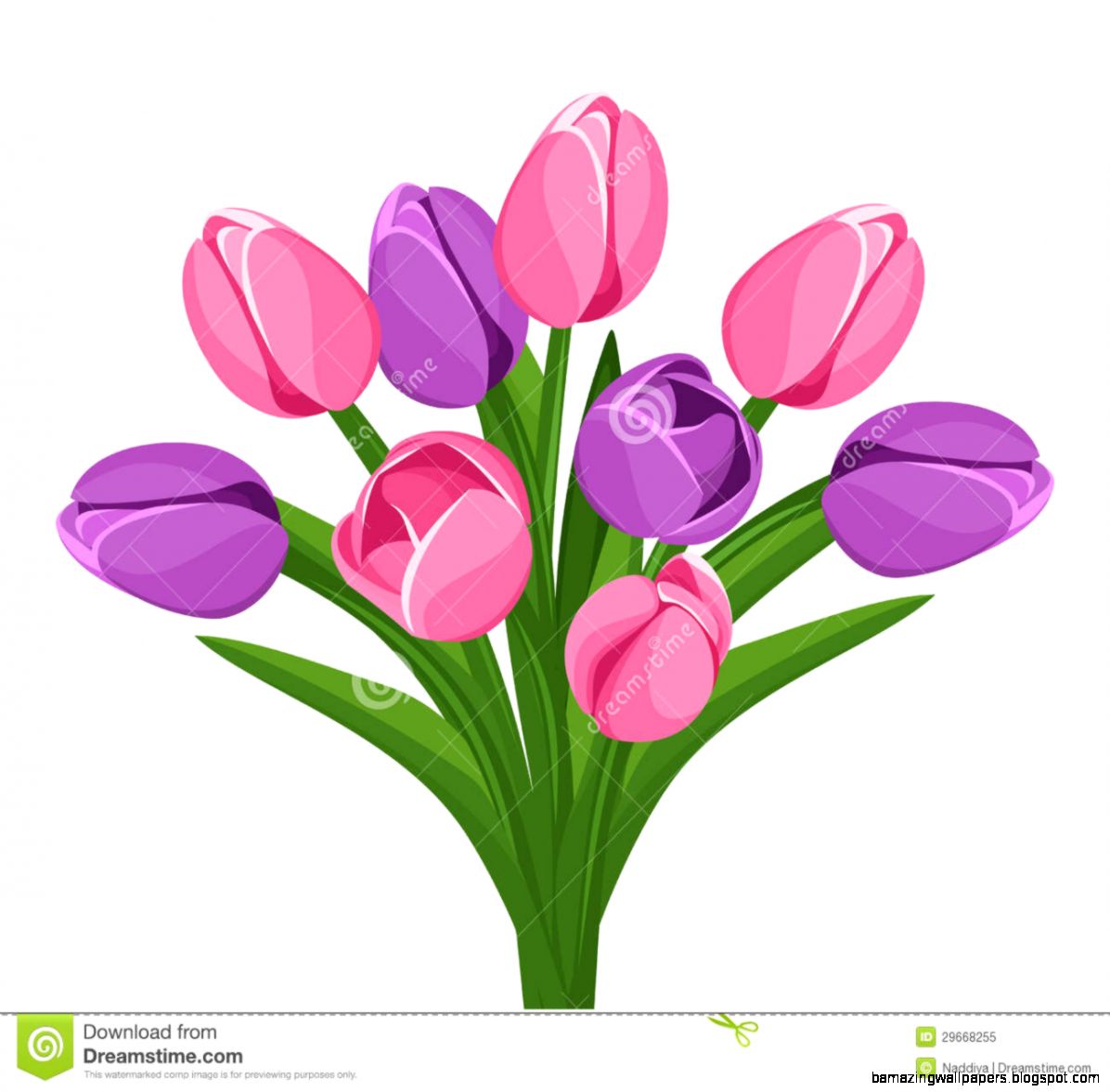 Bouquet Of Pink And Purple Tulips Vector Royalty Free Stock Bouquet Of Pink And Purple Tulips Vector Royalty Free Stock