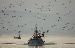 España logra ante la UE mejorar su cuota de pesca tras el fin del acuerdo con Marruecos