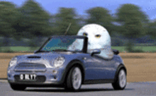 owl-car-web.gif