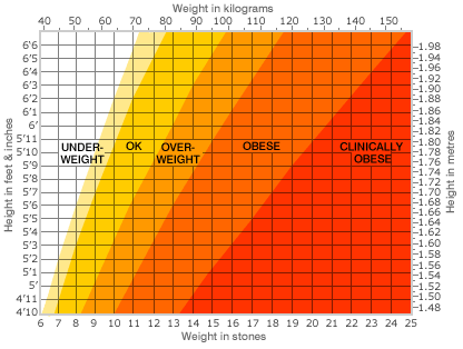 Weight Chart For Women By Age And Height 2013