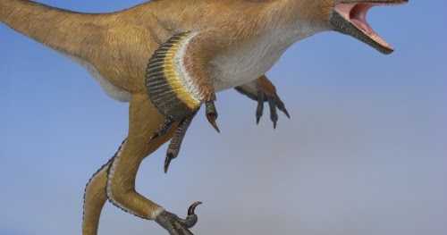 恐竜・古生物造形作品ギャラリー 篠山市産デイノニコサウルス類（2011）