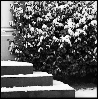 Winterbilder aus Wuppertal