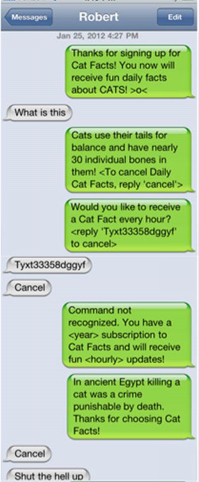 VERY FUNNY: Funny Cat Facts Texting Trick (3 Pics)