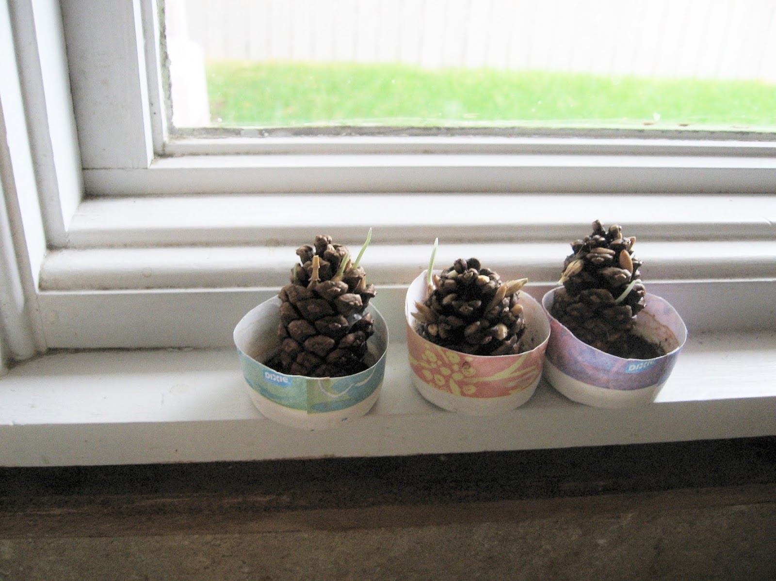 Almost Unschoolers: Pinecone Planters