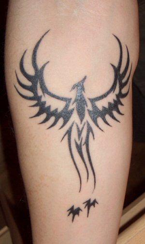 Phoenix Bird Tattoo Picture Phoenix Bird Tattoo