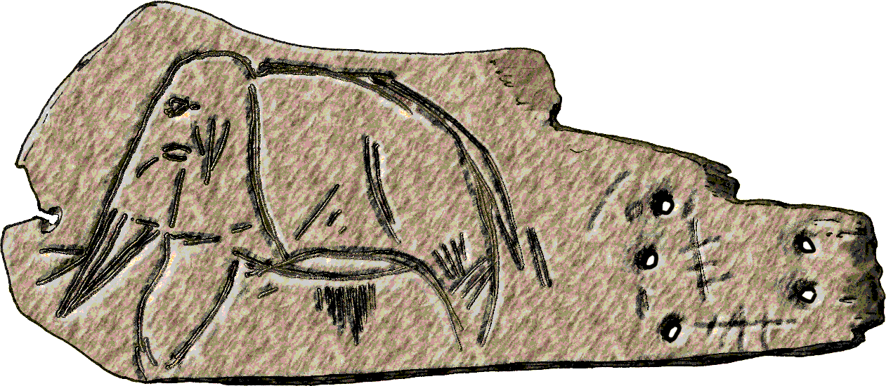 Engraving of a mammoth on a slab of mammoth ivory from Siberia