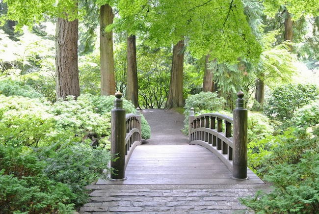 Chic Soufflé: El jardín japonés de Portland