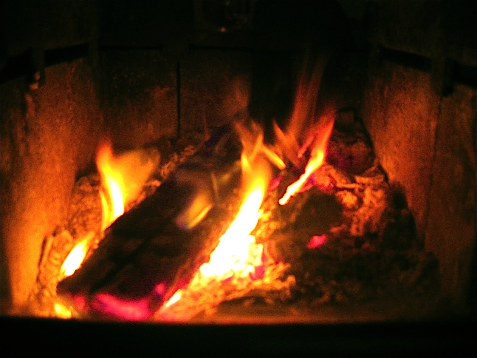 SANDY LEONARD SNAPS: December 2011