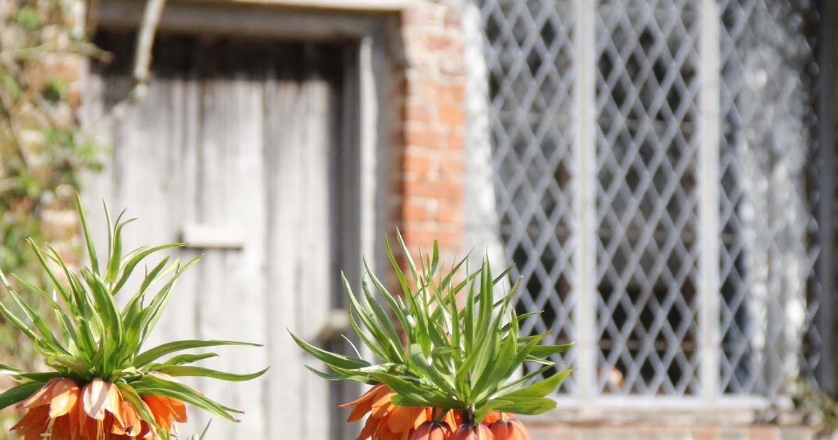 Florist in the Forest What a weekend