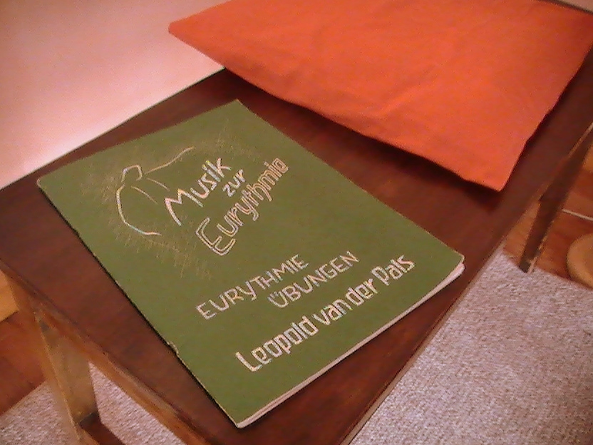 Bending Birches Eurythmy weekend