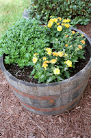 i'm in an upstate new york in autumn state of mind. - on Keep Calm and Soldier On mums in a whiskey barrel