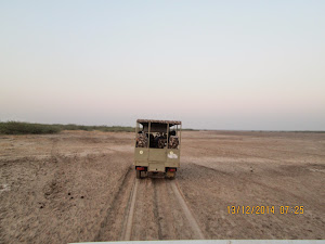 Jeep safari in Jhinjhuwada of Little Rann of Kutch