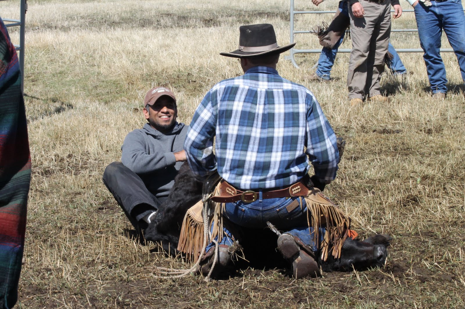 meaning What does “Don’t squat with your spurs on” mean? English